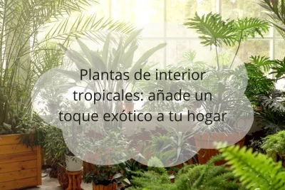 Plantas de interior tropicales