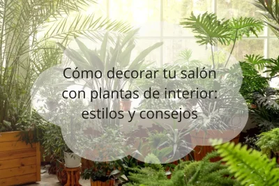 Decoración de salones con plantas de interior