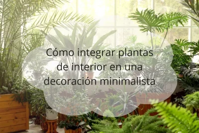 integrar plantas de interior en decoración minimalista