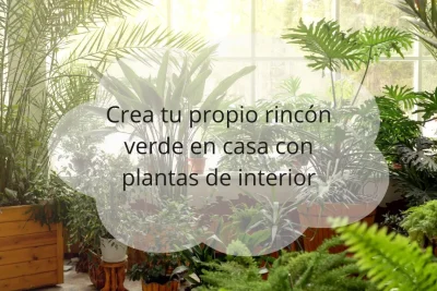 crear un rincón verde con plantas de interior