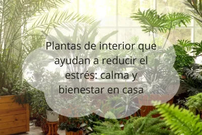 Plantas de interior para reducir el estrés
